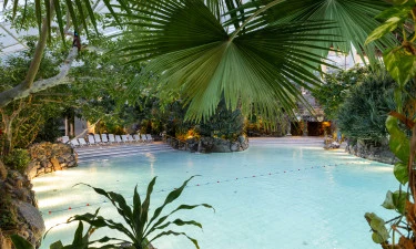 Center Parcs Les Hauts de Bruyères