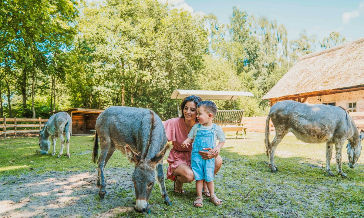 Vakantiepark Dierenbos Vakantiepark Dierenbos