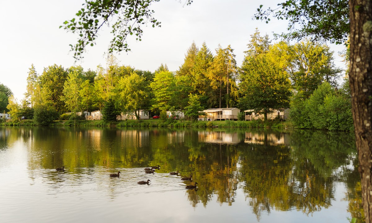 L'Etang de Sologne L'Etang de Sologne