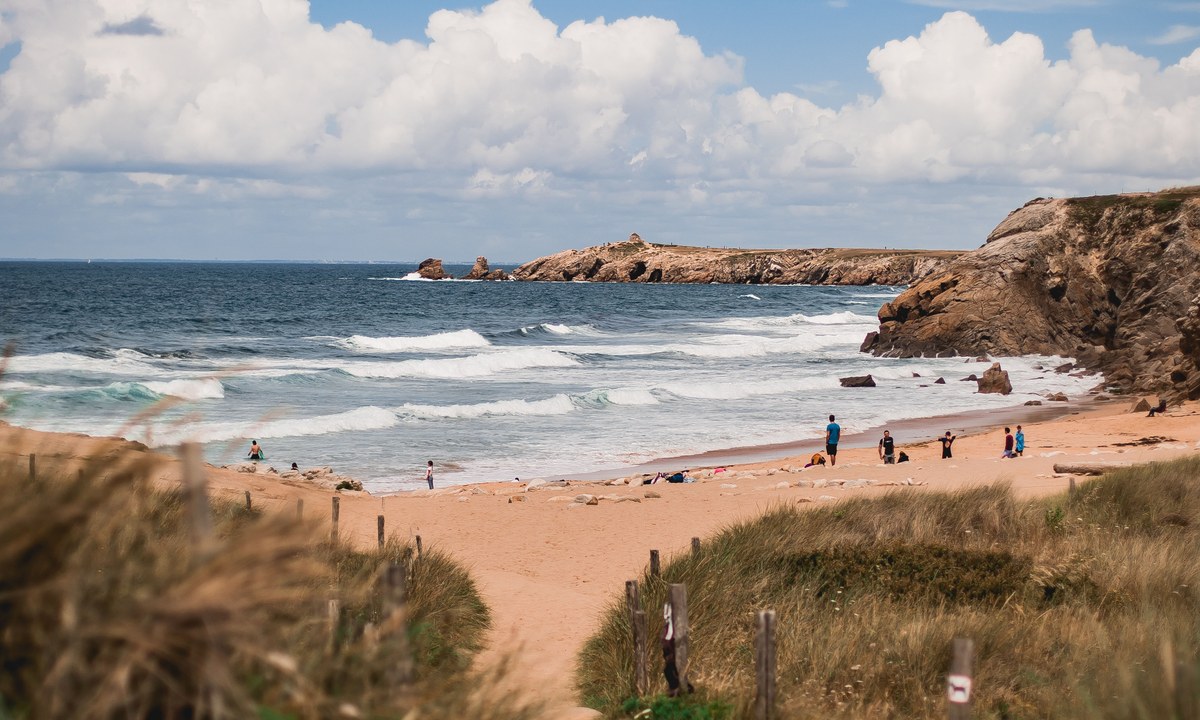 Sauvage (Quiberon)