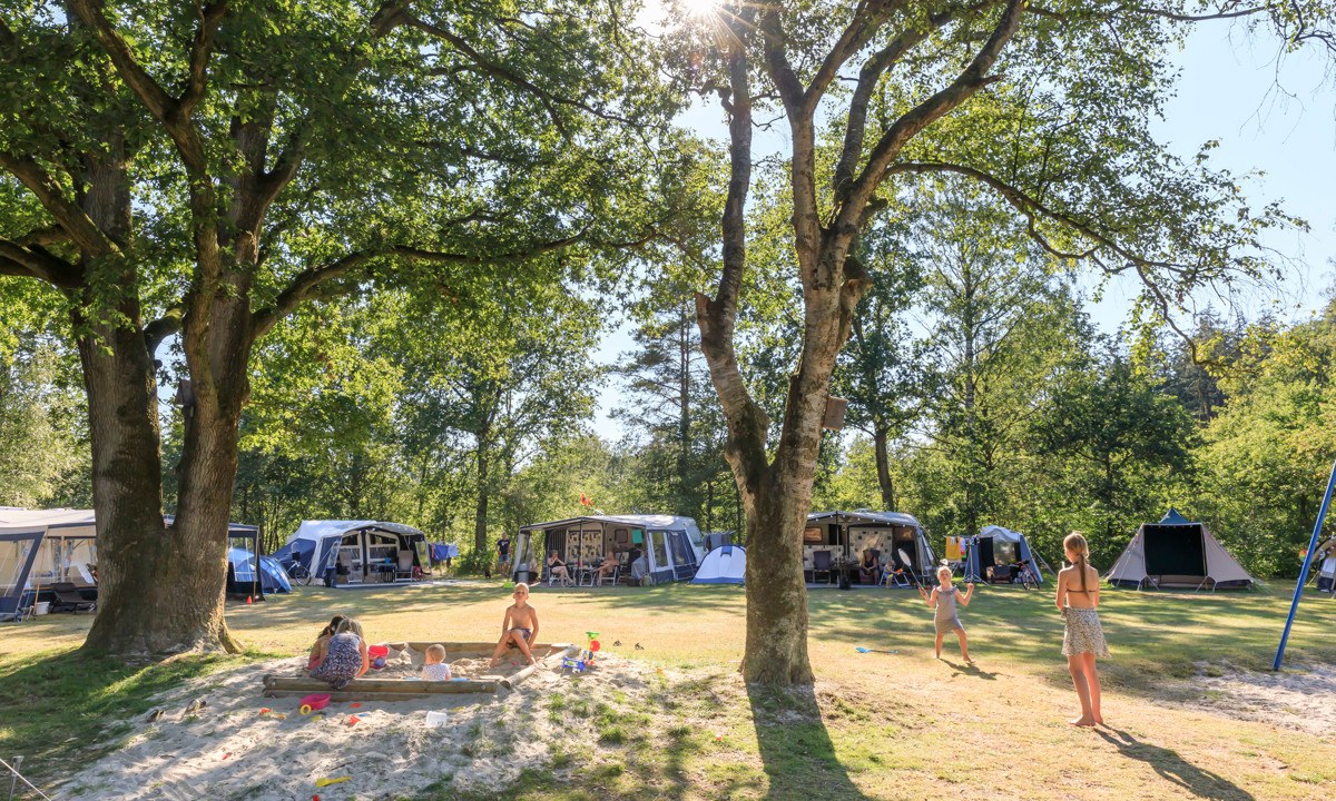 camping Camping De Roggeberg