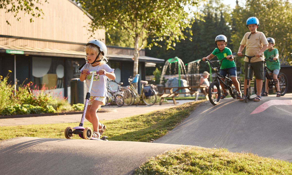 Camping De Roggeberg Camping De Roggeberg