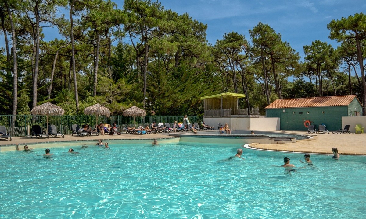 De la Plage de Riez afbeelding