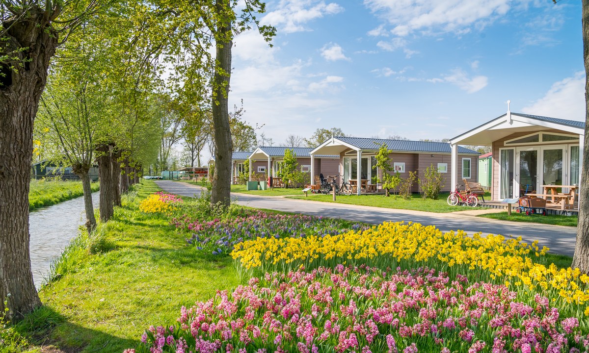 Familie Resort Molenwaard