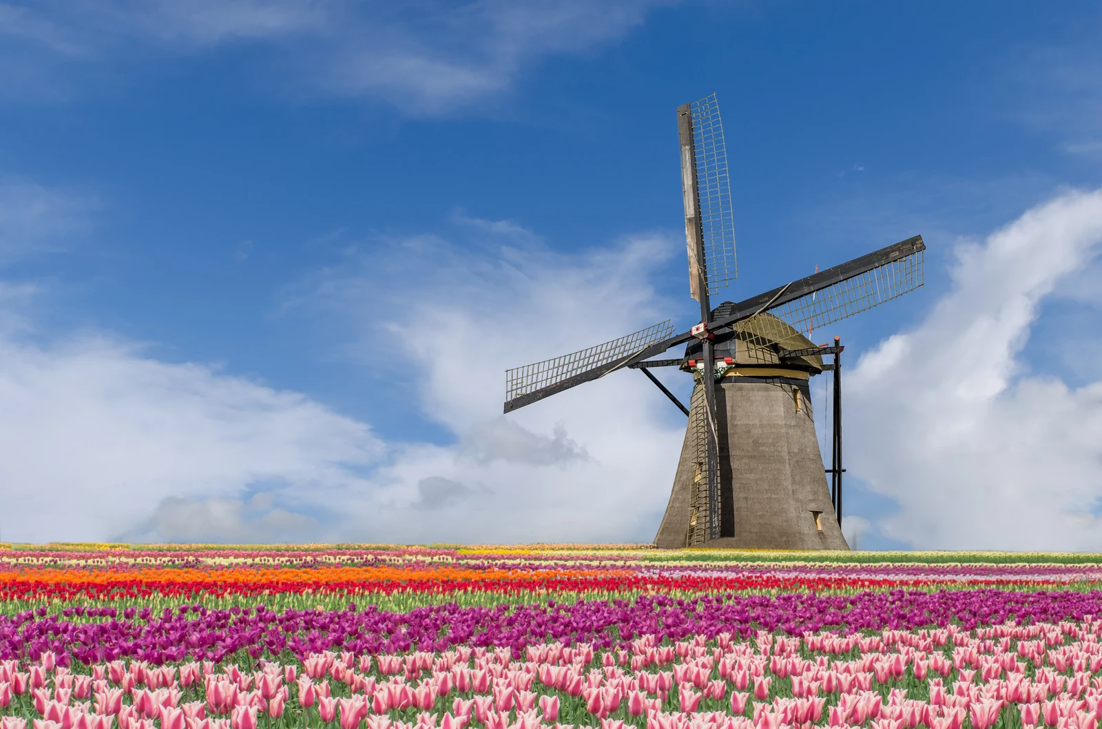 Holland 2025