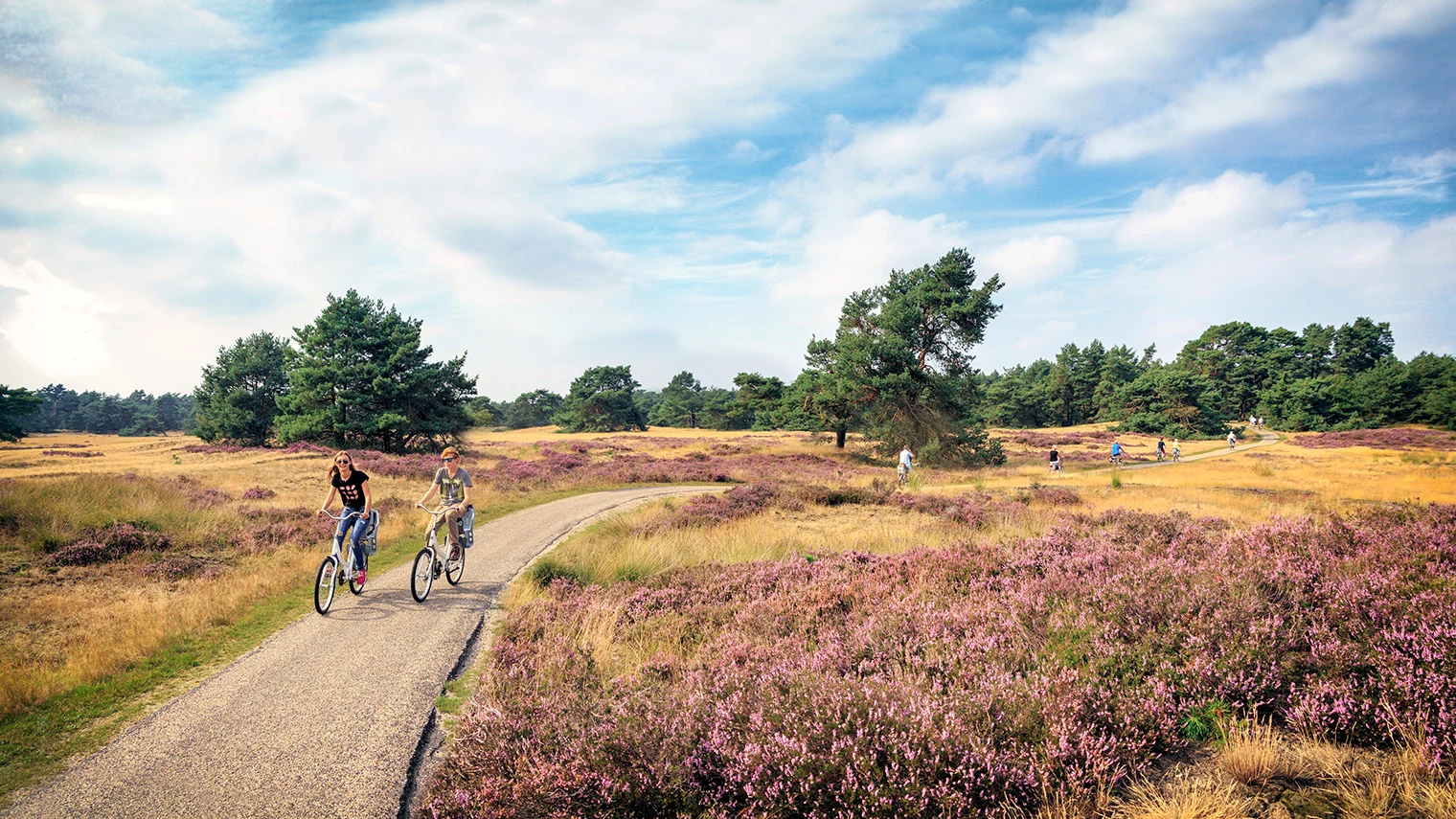 Hoge Veluwe