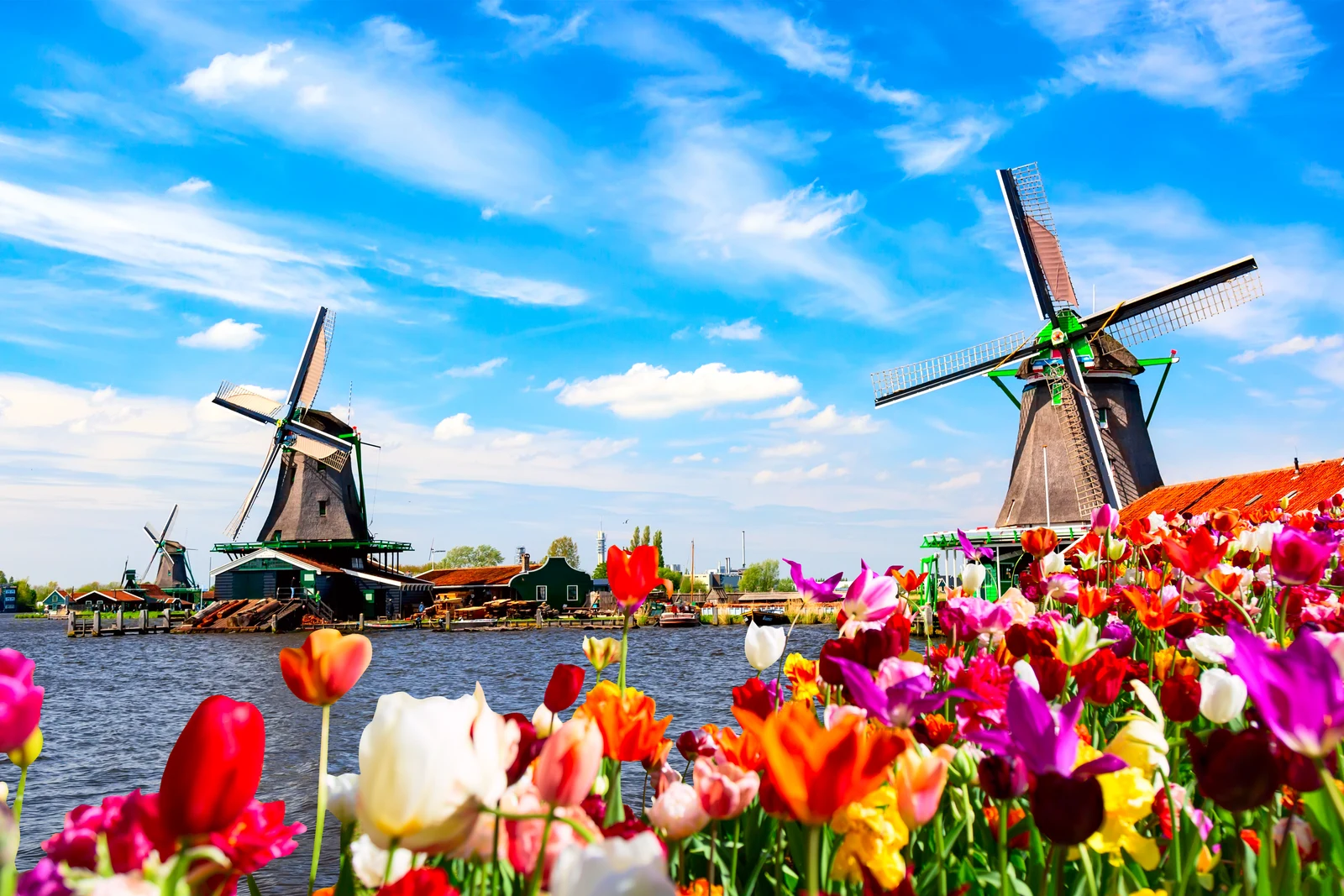 Holland