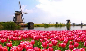 Hollandske kyst