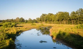 Overijssel
