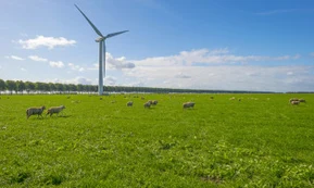 Flevoland