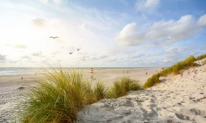 Jylland