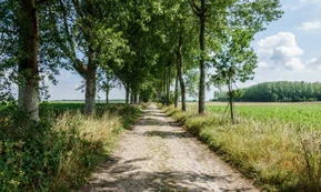 Vallonien