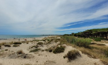 camping Camping La Tamarissière