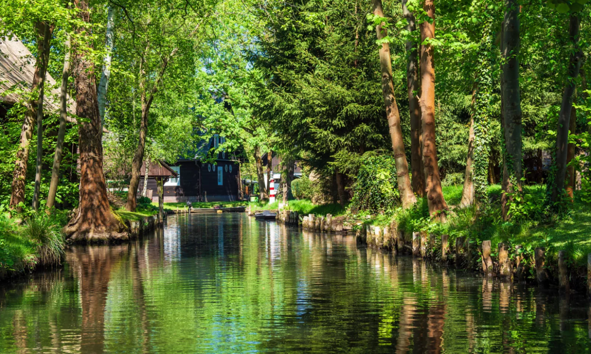 At KNAUS Campingpark Lübben, a waterway mirrors the trees and foliage, meandering past charming wooden cabins nestled within a thick, wooded region.