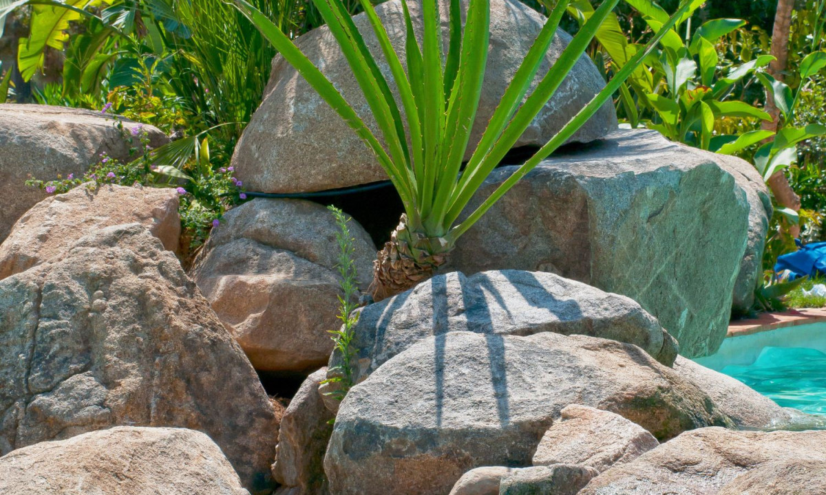 At Ultima Spiaggia, an aloe plant rests on sizable boulders next to a small flowing pool, encircled by vibrant tropical foliage.