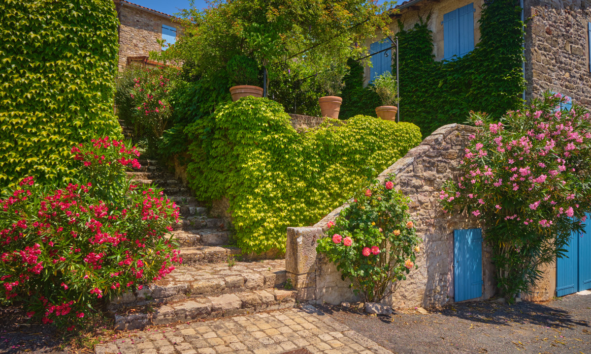 At Le Chêne Vert, stone steps rise through vibrant foliage and blossoming flowers in front of a charming structure with azure shutters.