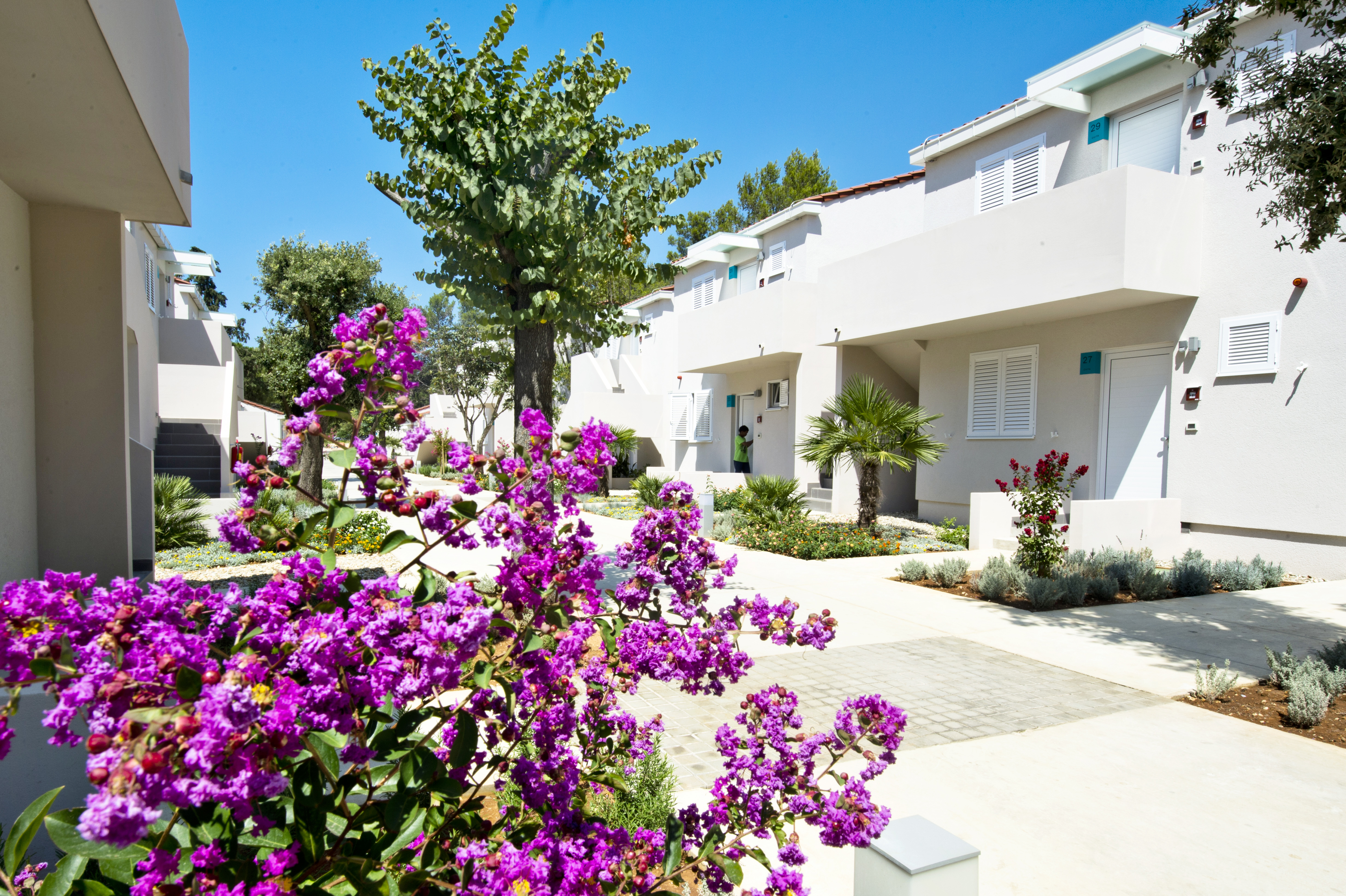 At Zaton Holiday Resort, vibrant blossoms bloom in a radiant courtyard surrounded by white structures and abundant greenery on a sunny day.