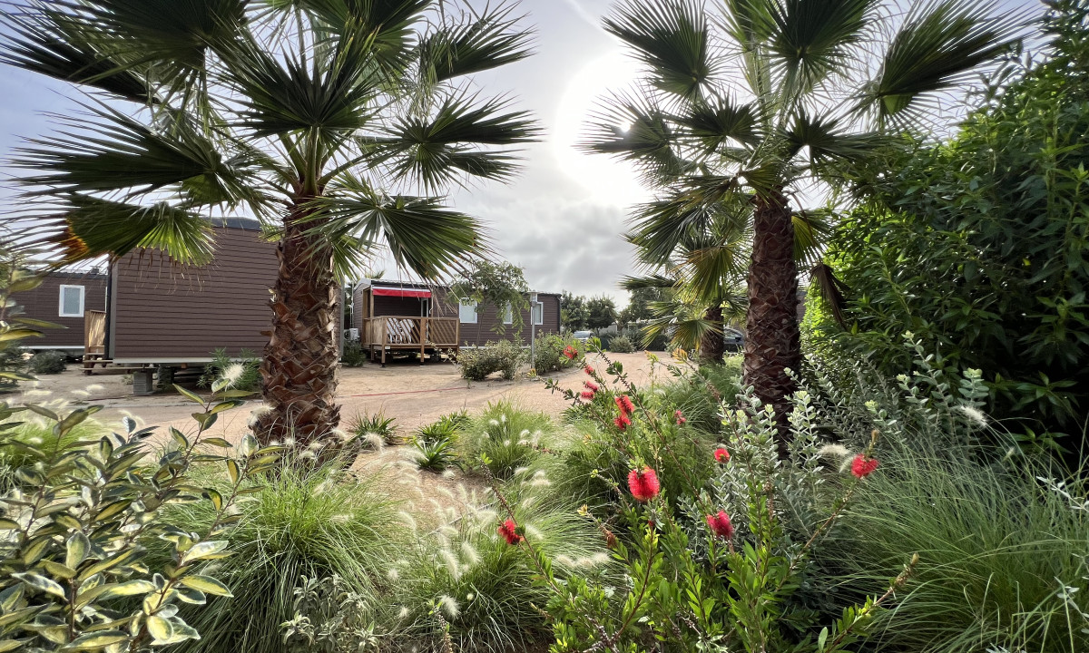Palm trees and lush plants grow alongside wooden cabins under a bright sky, creating a serene campsite atmosphere at Resort Els Pins