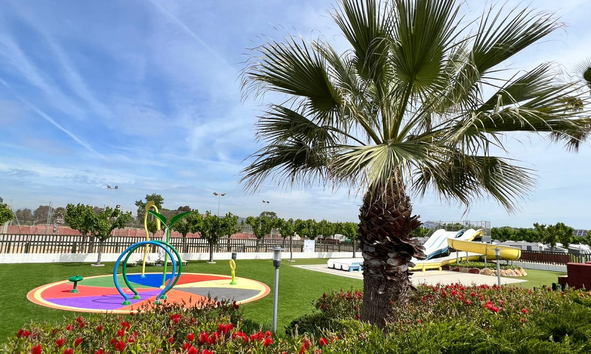 A palm tree stands in a grassy area with colorful playground equipment and water slides in the background at Resort Els Pins