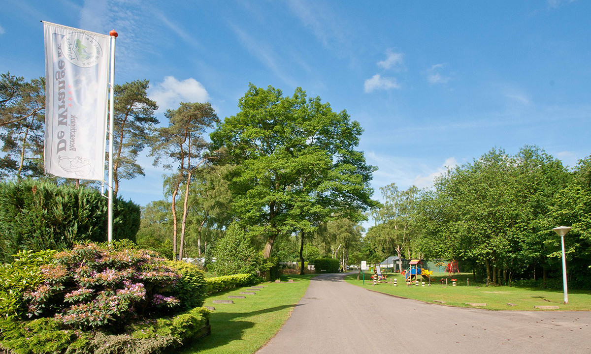 Flagpole with banner beside neatly trimmed shrubs, adjacent to a paved road winding through a tree-lined camping area at de Wrange