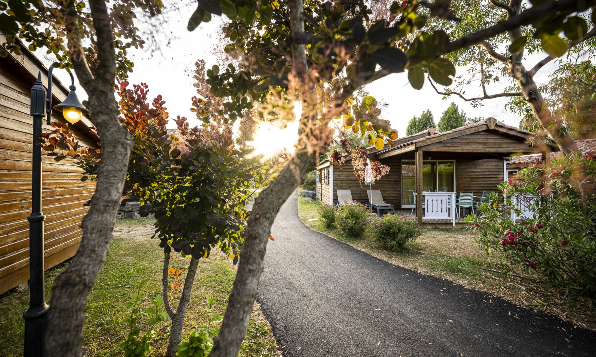 Wooden cabin in sunlight, surrounded by trees and bushes, next to a paved path at Domaine de Sévenier