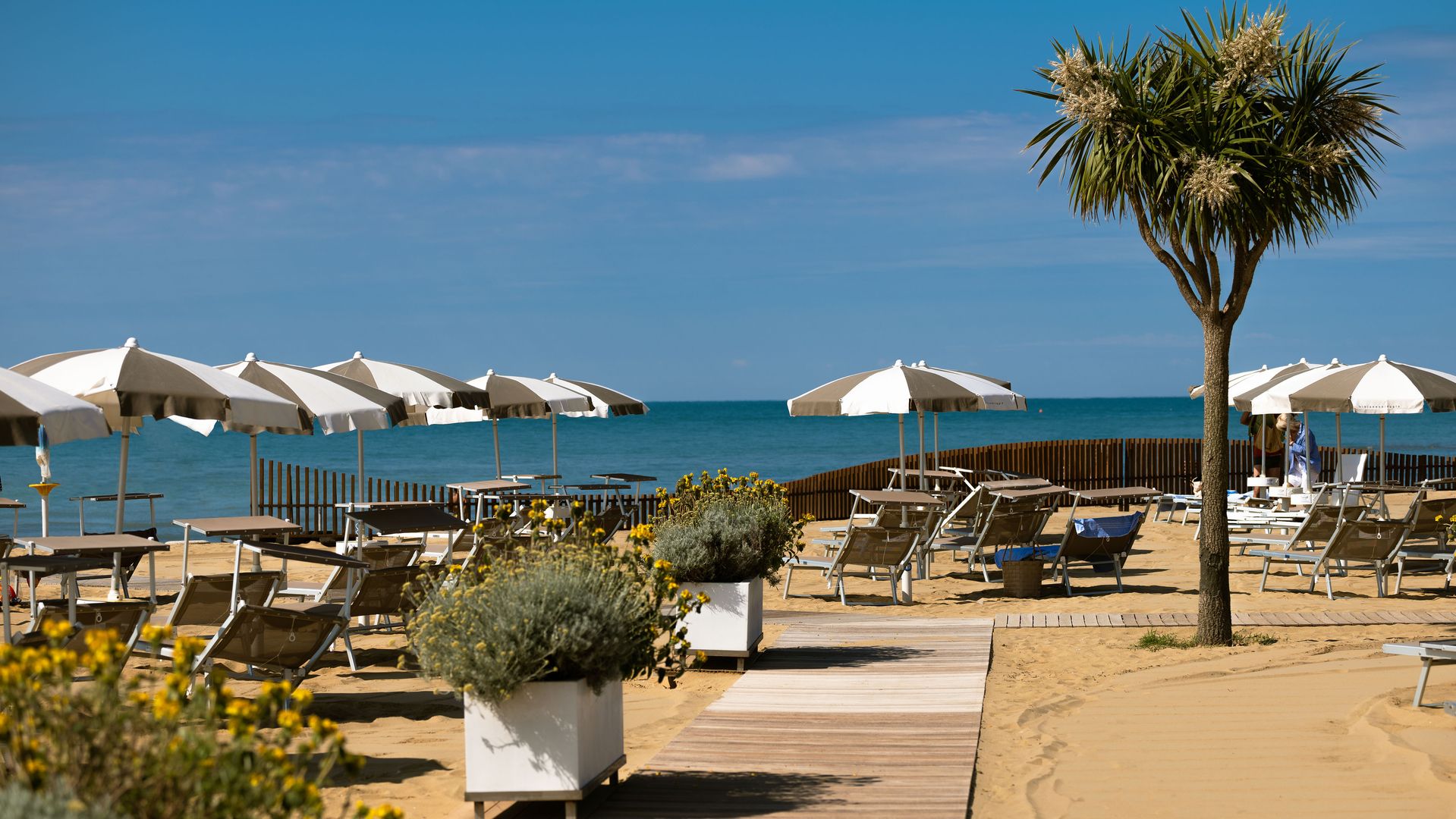 Sun loungers and umbrellas stand on sandy beach next to ocean; palm tree and wooden walkway in foreground at Savoy Beach Hotel & Thermal Spa