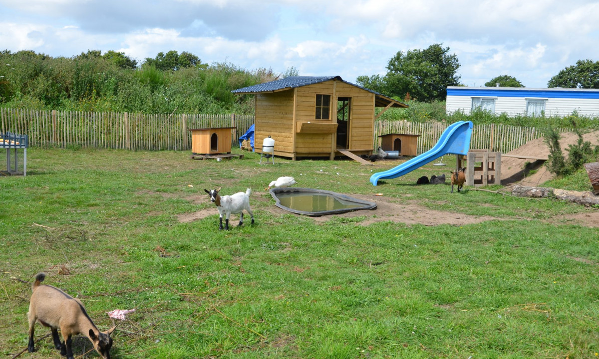 At Le Domaine de Léveno, goats feed and investigate around a quaint wooden playhouse, slide, and pond within a enclosed grassy space.