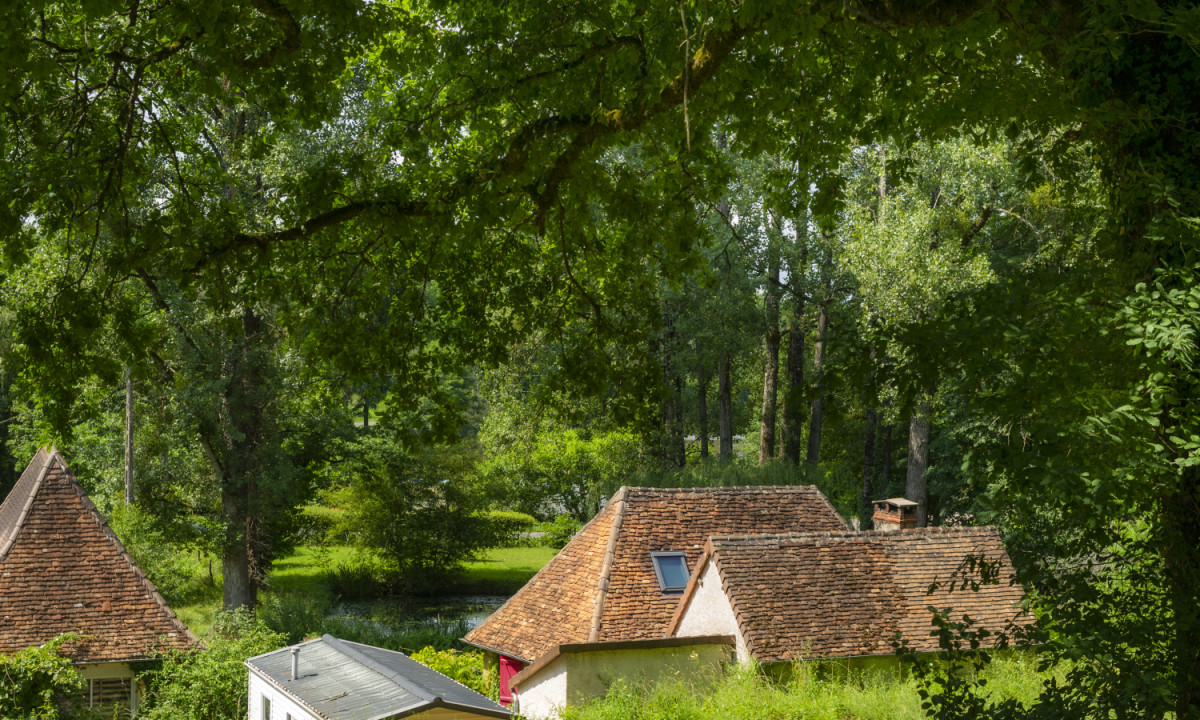 At Coucou, numerous quaint cottages with tiled roofs are nestled amidst thick forest foliage, beneath the expansive overhanging branches of large trees.