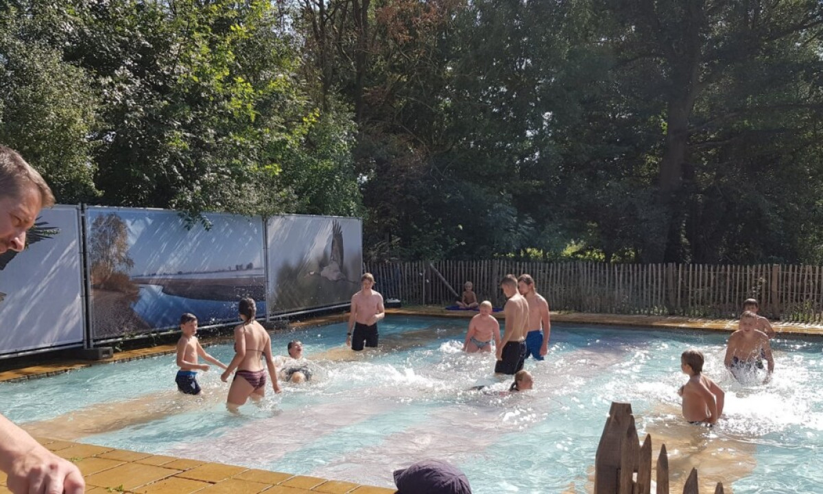 At Elbeling, individuals are swimming and enjoying themselves in an outdoor pool on a bright day, encircled by trees and fencing.