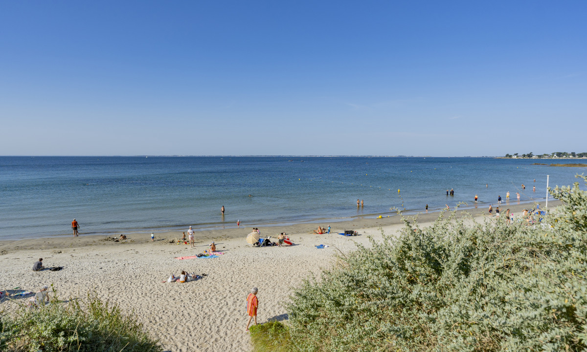 At De la Plage, individuals unwind on a sandy shore, basking in the sun and swimming in the sea beneath a clear azure sky.