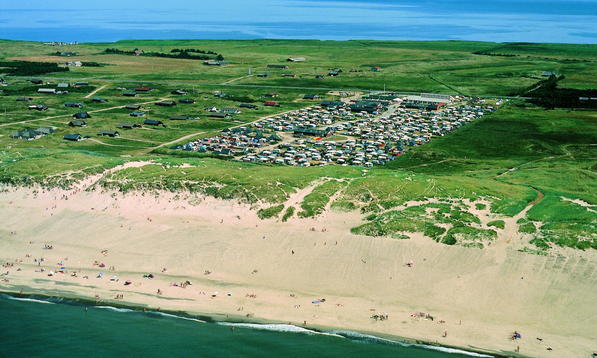 At Dancamps Nordsø, an overhead perspective reveals a bustling campsite adjacent to sandy dunes and a shoreline, with grassy fields and the ocean stretching out beyond.