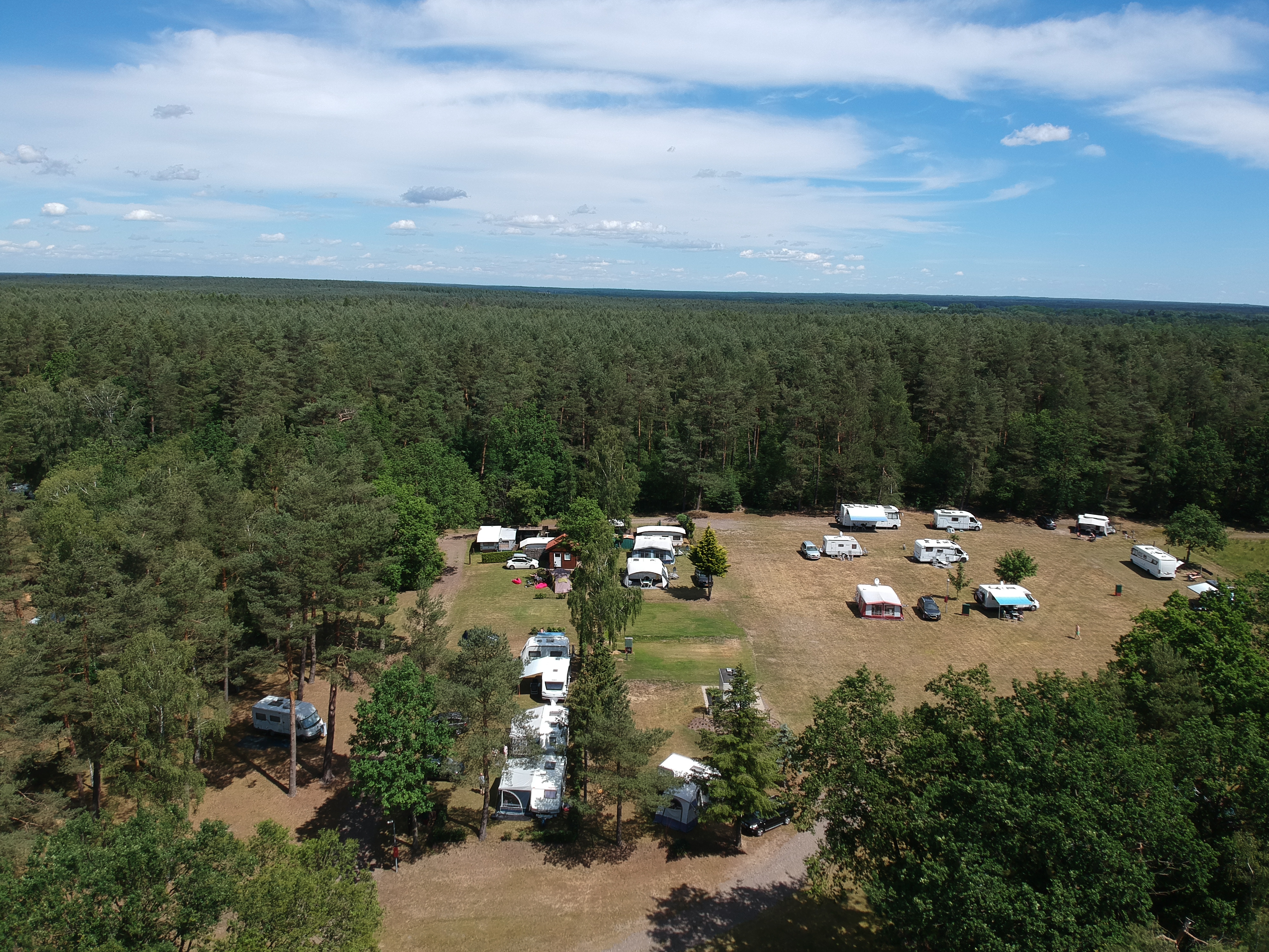 At Sonnenberg, camping vehicles are stationed in a spacious clearing encircled by thick woods.