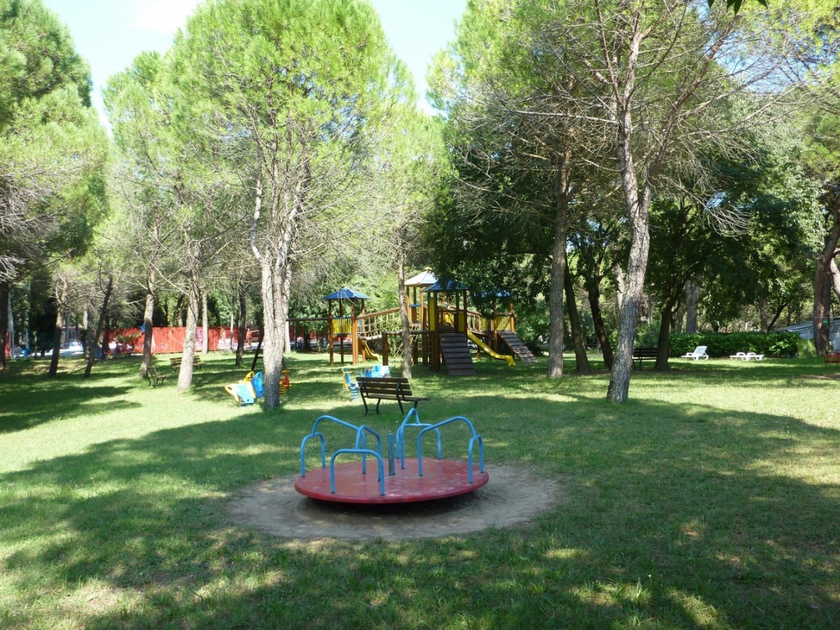Playground equipment stands idle among tall trees, with slides and benches nearby, under a clear sky at Belvedere Pineta