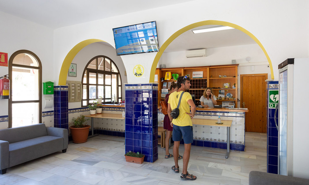 At Camping Los Escullos, individuals are chatting at a reception counter featuring an arched window, blue tiles, and a sofa in a well-lit area.