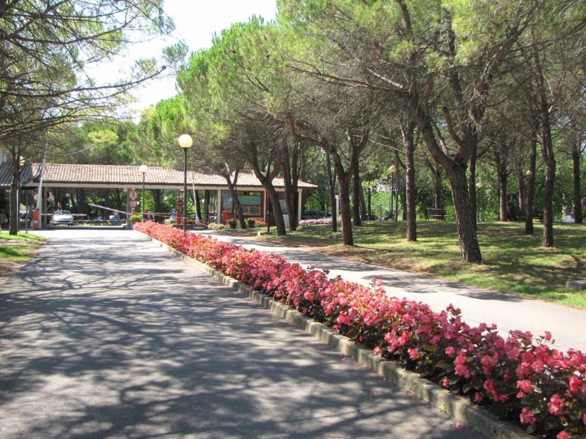 Flower-lined path leading to a reception area; surrounded by pine trees and grassy areas at Belvedere Pineta