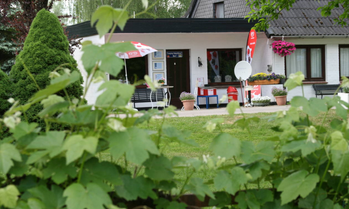 At Elbeling, structures adorned with umbrellas and flags are encircled by vibrant foliage.