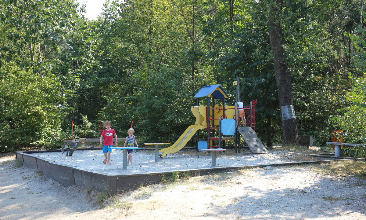 At De Baalse Hei, kids are enjoying themselves on a vibrant playground featuring slides and climbing apparatus, encircled by lush green trees.