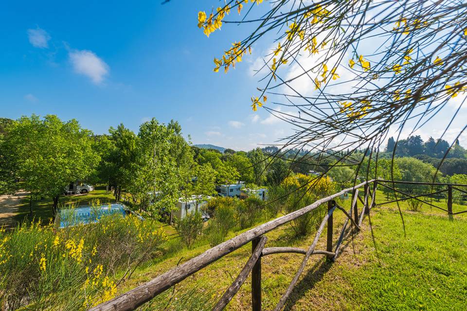 Wooden fence overlooking a lush, green campsite with trees and parked RVs under a clear blue sky at Il Poggetto