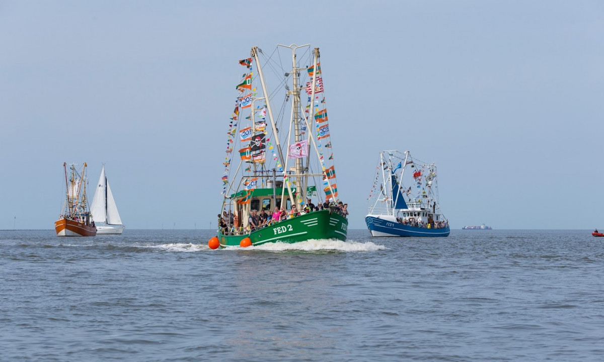 At KNAUS Campingpark Eckwarderhörne, vibrant boats glide across a tranquil ocean, decorated with banners, encircled by other ships beneath a clear sky.
