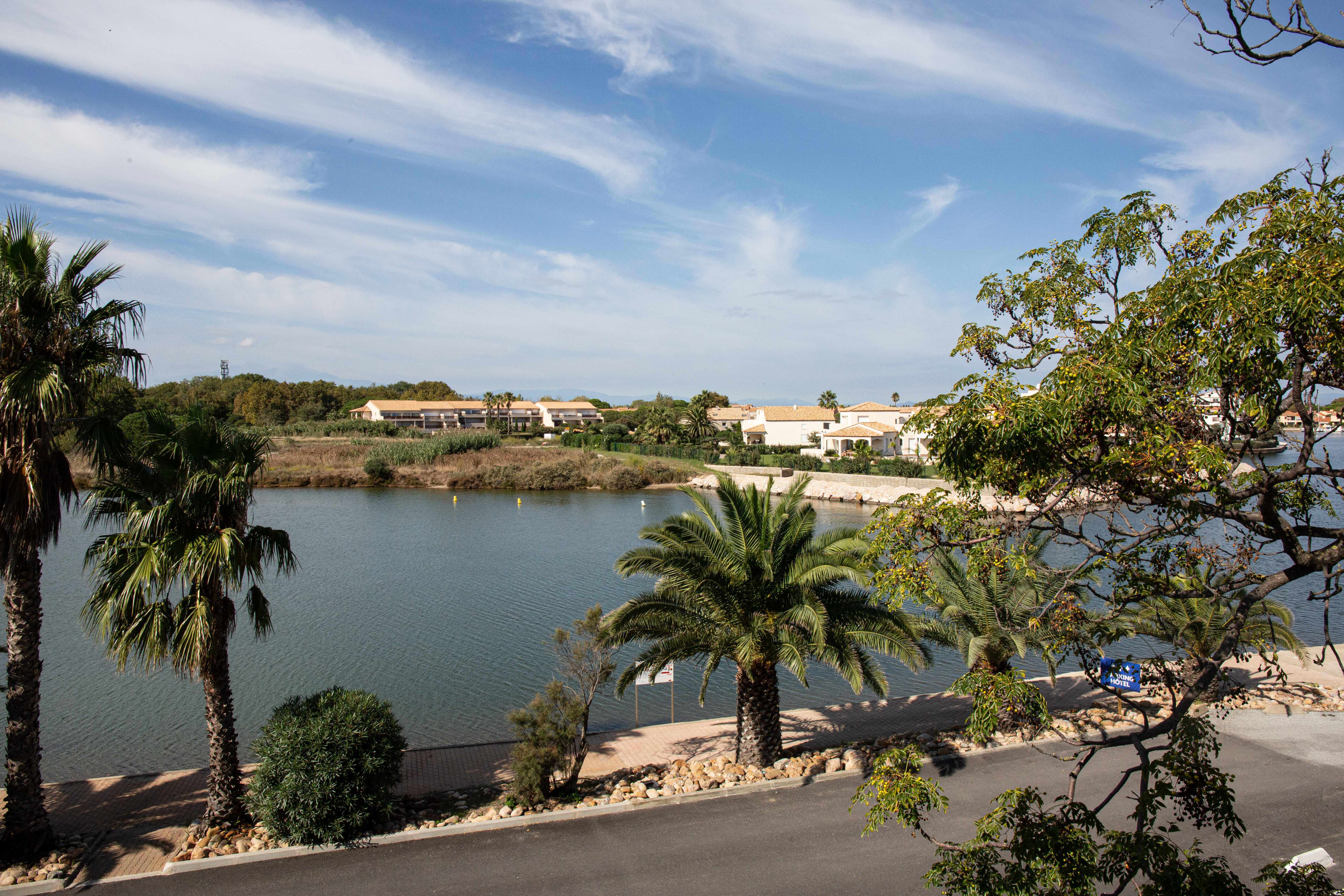 Palm trees lining a lakeside walkway with houses in the background, under a partly cloudy sky at Les Bulles de Mer