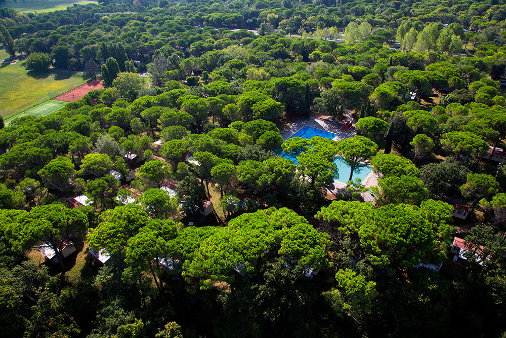 Aerial view of swimming pools surrounded by green trees and cabins in a forested camping area at Belvedere Pineta
