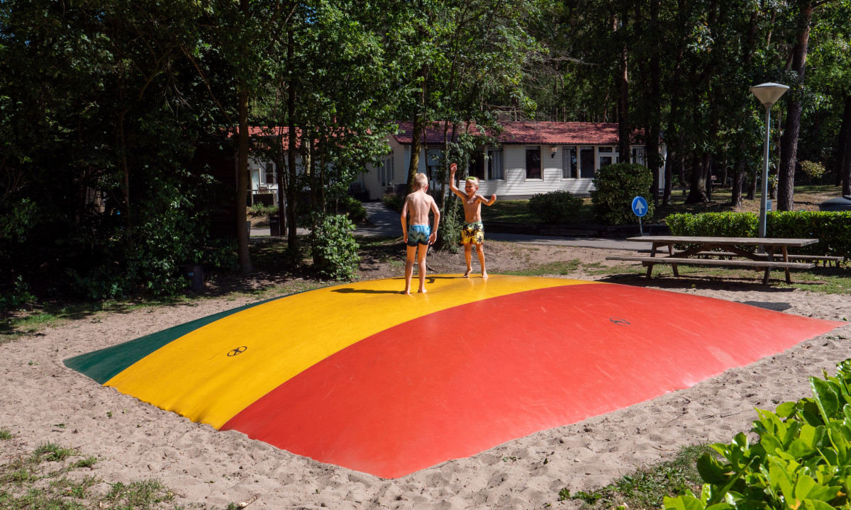 Two children are jumping on an inflatable bouncer in a park surrounded by trees at de Wrange