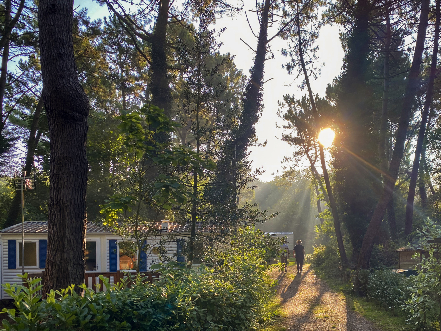 At La Dune Blanche, an individual strolls along a wooded trail close to cabins, with sunlight streaming through the trees.