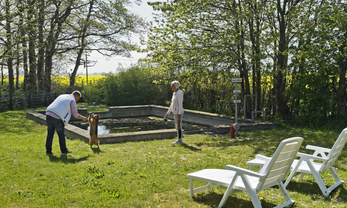 At KNAUS Campingpark Rügen, a man engages in play with a dog in a grassy space close to a small pond, while a woman watches.