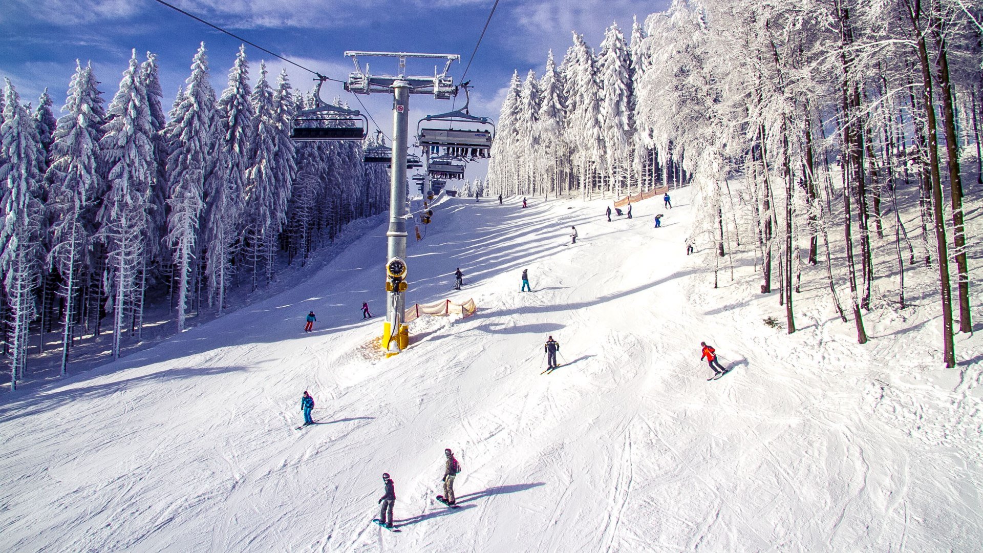 Skiers descending a snowy slope beneath a chairlift, surrounded by snow-covered trees at Bergresort Winterberg