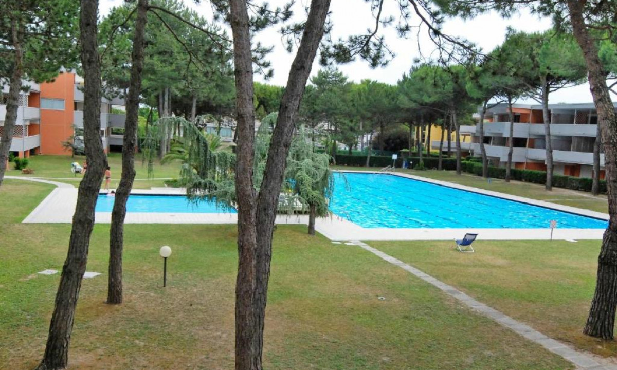 Pool surrounded by lawn and trees, with low-rise buildings in the background at Solarium