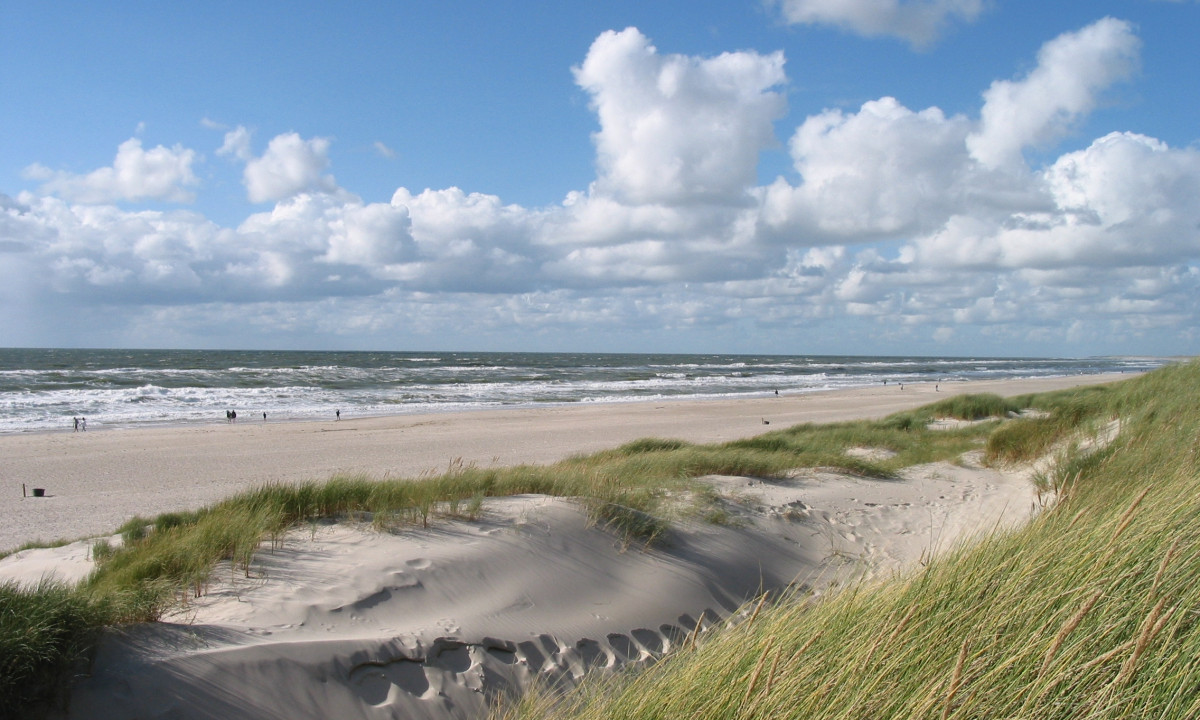 At Dancamps Nordsø, grassy sand dunes outline individuals strolling along an expansive shoreline beneath a cloudy sky.