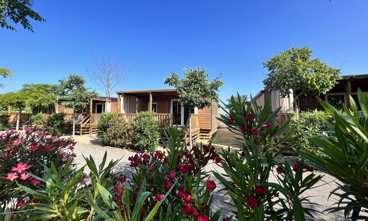 Wooden cabins stand amidst lush greenery and red flowers under a clear blue sky at Resort Els Pins