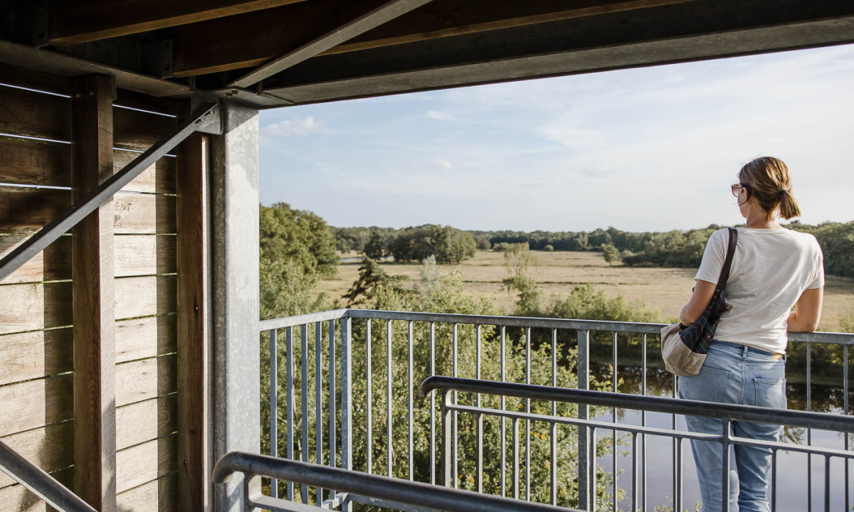 At De Baalse Hei, an individual is gazing at the rural scenery from an elevated observation deck, encircled by metal barriers and timber supports.