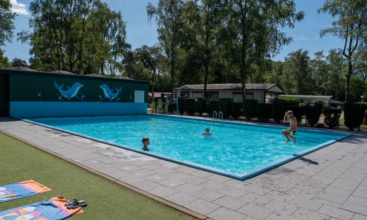 A child jumps into an outdoor pool while another swims, surrounded by trees and camping facilities at de Wrange